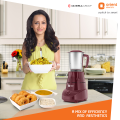 Orient Bolt 500 Watts Mixer Grinder / Blender / Juicer. 