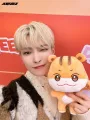 ATEEZ Aniteez Kawaii Stuffed Animals Plushies Toy Korean Room Decor. 