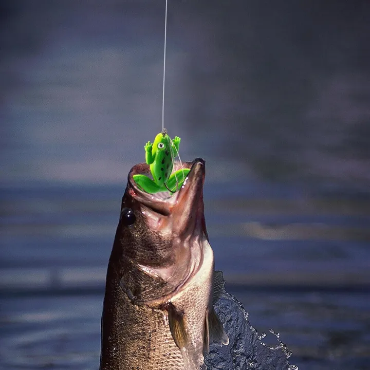 2%20pcs%20frog%20bait%20for%20fishing%20%7C%20Fishing%20Lure%20%7C%20frog%20Lure%20%7C%20Bang%20%7C%20Shol%20Fishing%20Lure%20%7C%20Floating%20Bait%20%20Realistic%20Swimbait%20Topwater%20Frog%20Fishing%20Lure%20%7C%20Floating%20Bait,%20Artificial%20Sofish%20Fishing%20Lure%20for%20Pike,%20Trout,%20Saltwater,%20Freshwater%20Aznever%20-%20Image%207