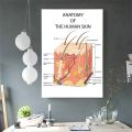 Face Anatomy,The Human Skin ,lip ,hair Anatomy Muscle Detailed Medical Art Poster Canvas Painting Wall Print Picture Home Decor. 