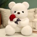 New cartoon rose teddy bear plush toys for girls Valentine's Day gift bear pillow. 
