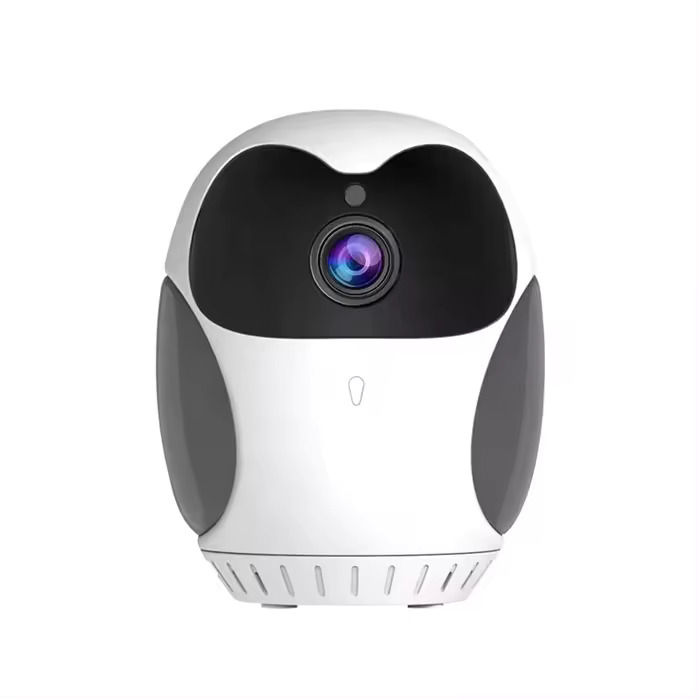 D1 5-Hours Backup  360 Rotation PTZ indoor Ip Camera