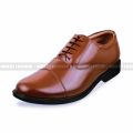Hybrid Oxford Shoes Leather Fresh Looking - Chocolate (Socks Free). 
