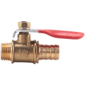 Male to Female M/F Thread 1/2 inch Full Port Brass Water Ball Valve & 10mm x 1/4 Inch PT Male Thread Brass Ball Valve.
