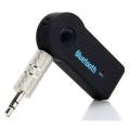 Car Bluetooth Device With Audio. 
