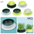 Box Cats Snack Tray Cats Grass Planting Box Tray Green Base Yellow.