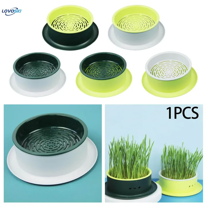 Box%20Cats%20Snack%20Tray%20Cats%20Grass%20Planting%20Box%20Tray%20Green%20Base%20Yellow%20-%20Image%205