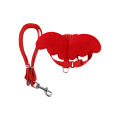 1Pc Cute Pet Harness Adjustable Stainless Long Rope Leash for Duck Chickens Outdoor.