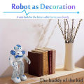 LEORY RC Robot Intelligent Programming Remote Control Robotica Toy Biped Humanoid Robot For Children Kids Birthday Gift Present.