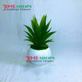 Artificial Rubber Cactus Plant In Small Plastic Tob 6 inc For Decoration. 