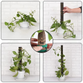 6 Pieces Moss Stick Plant Stake Indoor Plants Coconut, Plant Stake, Moss Pole, Climbing Aid. 