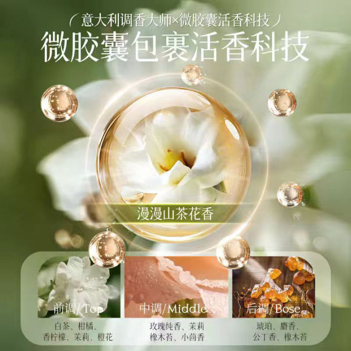 Camellia%20Amino%20Acid%20Shampoo%20Anti-Dandruf%20and%20Relieve%20Itching%20Oil%20Control%20Shampoo%20Shower%20Gel%20Lasting%20Fragrance%20Wash%20Nursing%20Suite%20-%20Image%204