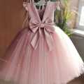 Baby Girls Party Dress. 