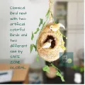 One Hanging Bird Nest with two birds & plant for home and garden decor. Babui Pakhir Basha of 02 size, ( Height with hanging rope15 inch & 14 inch )।.