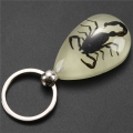 5X Glow-In-The-Dark Real Insect Keychain ().