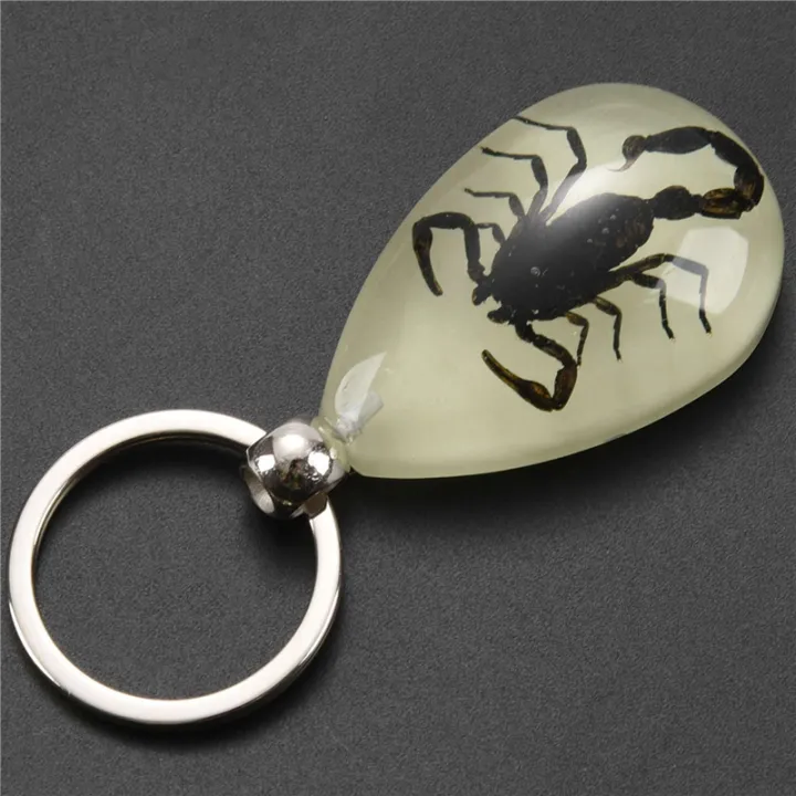 5X%20Glow-In-The-Dark%20Real%20Insect%20Keychain%20()%20-%20Image%203