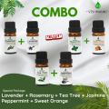 Vishmanni Essential oil combo 6 flavor (10 ml each). 