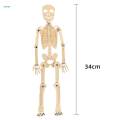 Novelty Science Toy Durable Projects 3D Puzzle for Boy Girls Kids Preschool. 