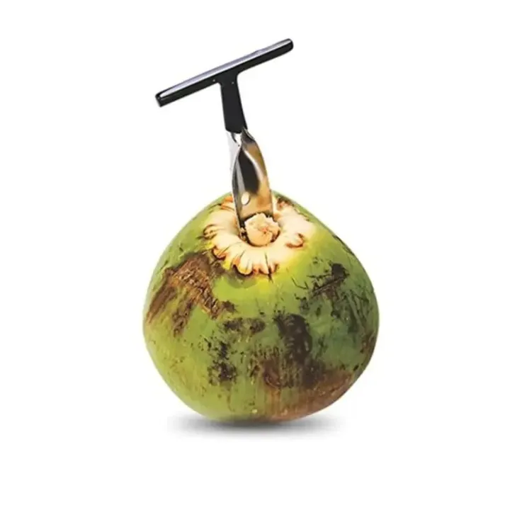 1PC%20Stainless%20Steel%20Coconut%20Opener%20Special%20Tool%20for%20Coconut%20Shell%20Cover%20Opening%20Coconut%20Opener%20Opening%20Hole%20Hole%20Opener%20-%20Image%203