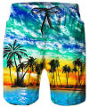 2023 Summer New Men's Beach Shorts Hawaii Casual Sports Shorts Natural 3D Printing Shorts Qrying Is Fast and Breathable. 