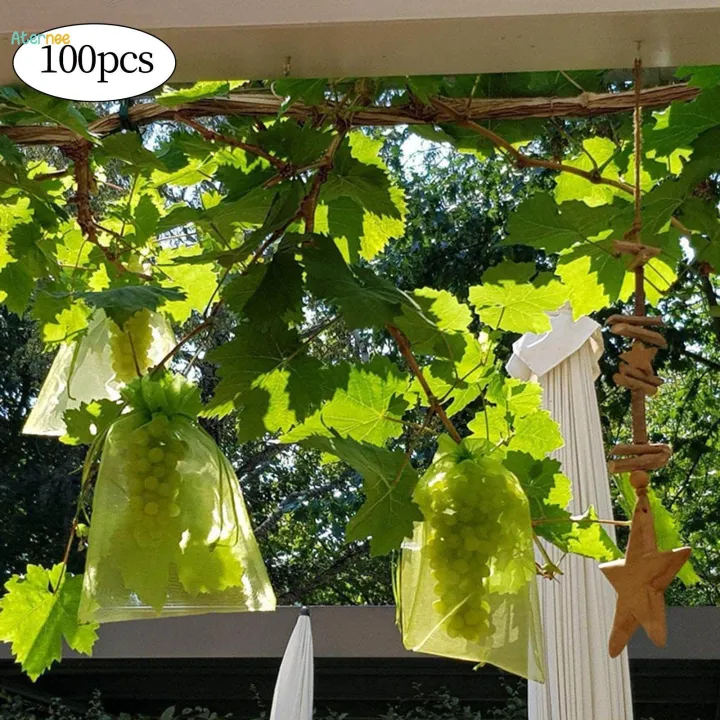 100%20Pieces%20Fruit%20Protection%20Bags%20Fruit%20Netting%20Cover%20Bags%20for%20Veggies%20Garden%2015cmx20cm%20-%20Image%203