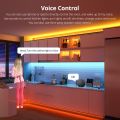 Homekit RGB LED Strip lights WiFi Siri Voice Smart Control Neon Tape Room lamp Decoration Work With Alexa/Google/Apple Home kit. 