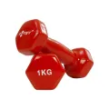 Premium Quality 1kg vinyl Dumbbell 2 pcs ( 4 color available ) - Sports & Fitness.