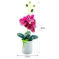 Artificial istic cro Lape Artificial Butterfly Orchid. 