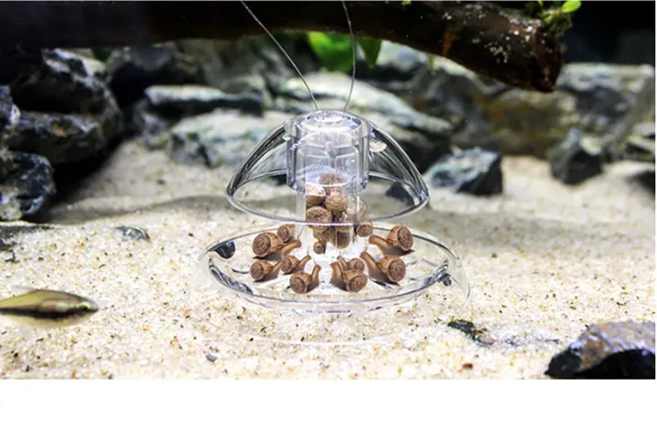 Pond%20Hydroponic%20Plants%20Aquatic%20Supplies%20Pest%20Catch%20Box%20Planarian%20Catcher%20Cleaning%20Tool%20Aquarium%20Snail%20Trap%20-%20Image%203