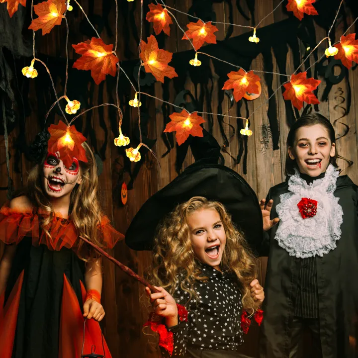 1.5M/3M%20LED%20Maple%20Leaves%20Pumpkin%20Garland%20String%20Lights%20Led%20Fairy%20Light%20Home%20Decoration%20-%20Image%204