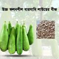 F1 Bulb Type Bottle Gourd Seed. 