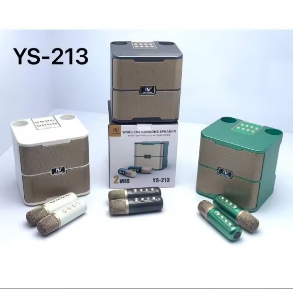 YS-213 100W high power wireless family party Bluetooth speaker portable dual microphone outlet karaoke subwoofer stereo boombox