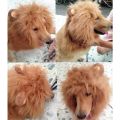 Funny Pet Hat Lion Mane for Dogs Cat Cosplay Dress up Puppy Lion Wig Costume Party Decoration Halloween Christmas Pet Supplies.