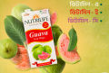 Nutrilife Guava Fruit Magic - 1 litre Bhutan. 