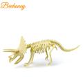 Diy Dinosaur Skeleton Model Toy Dinosaur Building Blocks Ornaments 3d Assembly Educational Toys For Kids. 