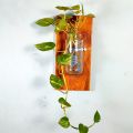 Wall flower Vase of natural wood and glass for office and living room. (with & without plant).