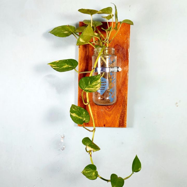 Wall flower Vase of natural wood and glass for office and living room. (with & without plant)