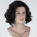 HAIRJOY Synthetic Hair Wigs Brown Short Curly Layered Wig for Men.