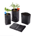 8"/8 " Nursary  Poly Bag Black  10 pcs. 