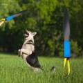 Dog No Biting Sticks Dog Bite Training Stick for Small Medium Dogs Training Yellow. 