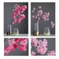 50 pcs Cherry Blossom Tree seed Garden plant Seeds. 