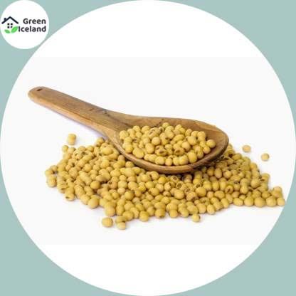 Organic%20Soybean%20Tree%20Seeds%20(%E0%A6%B8%E0%A7%9F%E0%A6%BE%E0%A6%AC%E0%A6%BF%E0%A6%A8%20%E0%A6%AC%E0%A7%80%E0%A6%9C)%20-%2030%20Pcs%20Seeds%20-%20Image%202