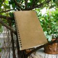 Designer Series Kraft Spiral Grid Graph Notebook. 