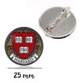 Harvard University Massachusetts Institute of Technology cornell university Famous Colleges logo Brooch Support customization.