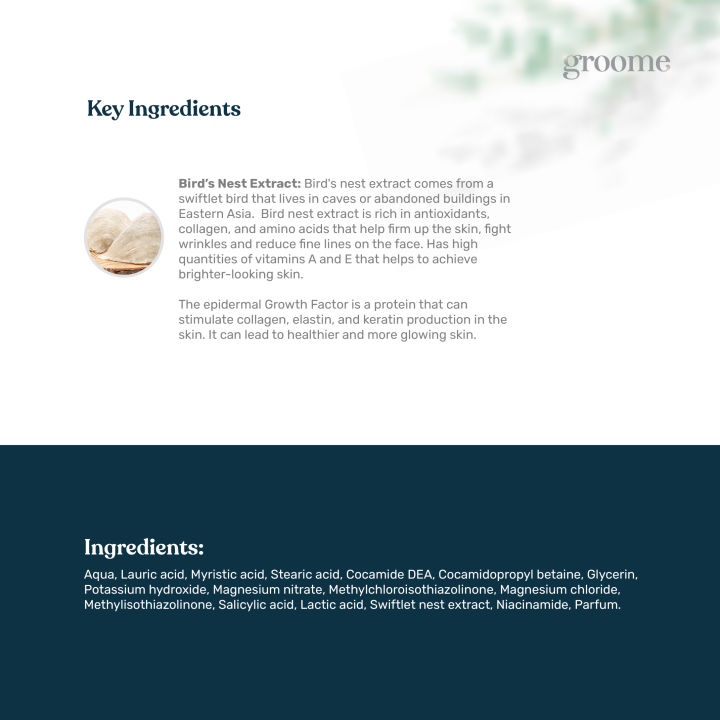 Groome%20Bird%E2%80%99s%20Nest%20Brightening%20Face%20Wash%20daily%20face%20wash%20deep%20cleansing%20bright%20skin%20reduce%20dark%20spots%20improved%20skin%20creamy%20texture%20all%20skin%20types%20-%20Image%205