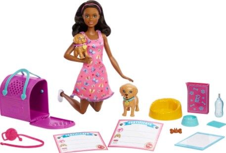 Barbie Dolls And Pets Playsets Fpr48