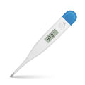Digital Thermometer.