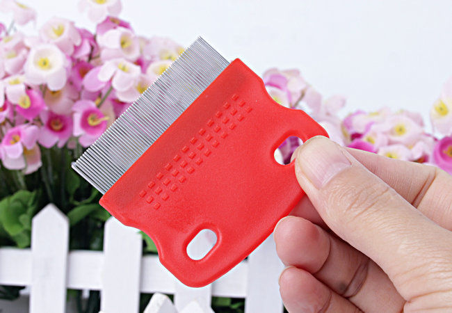 High-Quality%20Detangling%20Comb%20for%20Hair%20Care,%20Anti-lice%20Anti-Dryness%20-%20Image%204