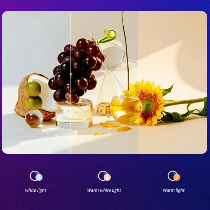 LED%20Video%20Light%203000K-7000K%20Dimmable%20Photography%20Studio%20Lighting%20for%20Video%20Film%20Recording/Collection%20Portrait%20-%20Image%205