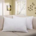 cotton Fiber White Cushion 20x12 Inch 2 Pcs.